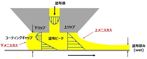 ダイ塗布における流動状態